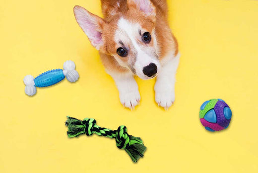 How to Choose the Best Dog Toys: Tips and Recommendations for Pet Owners