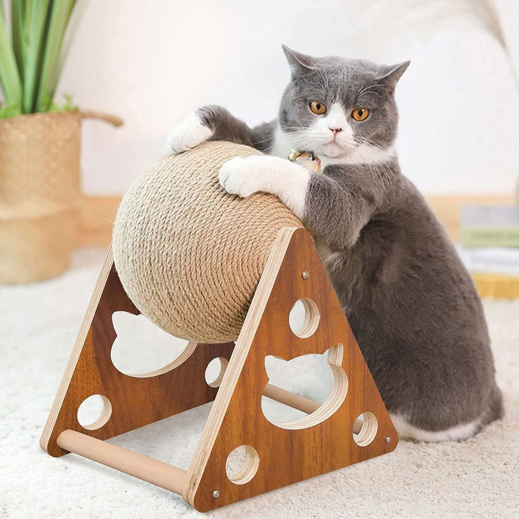 The Best Toys for Your Cat: Interactive, Fun, and Engaging Options