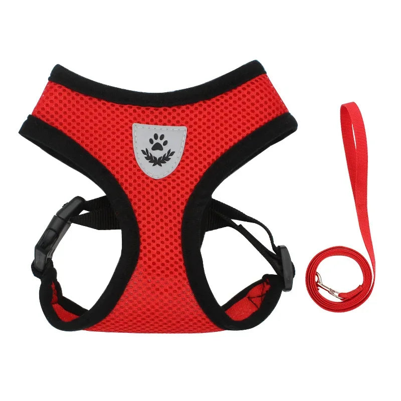 Summer Cat-Dog Harness