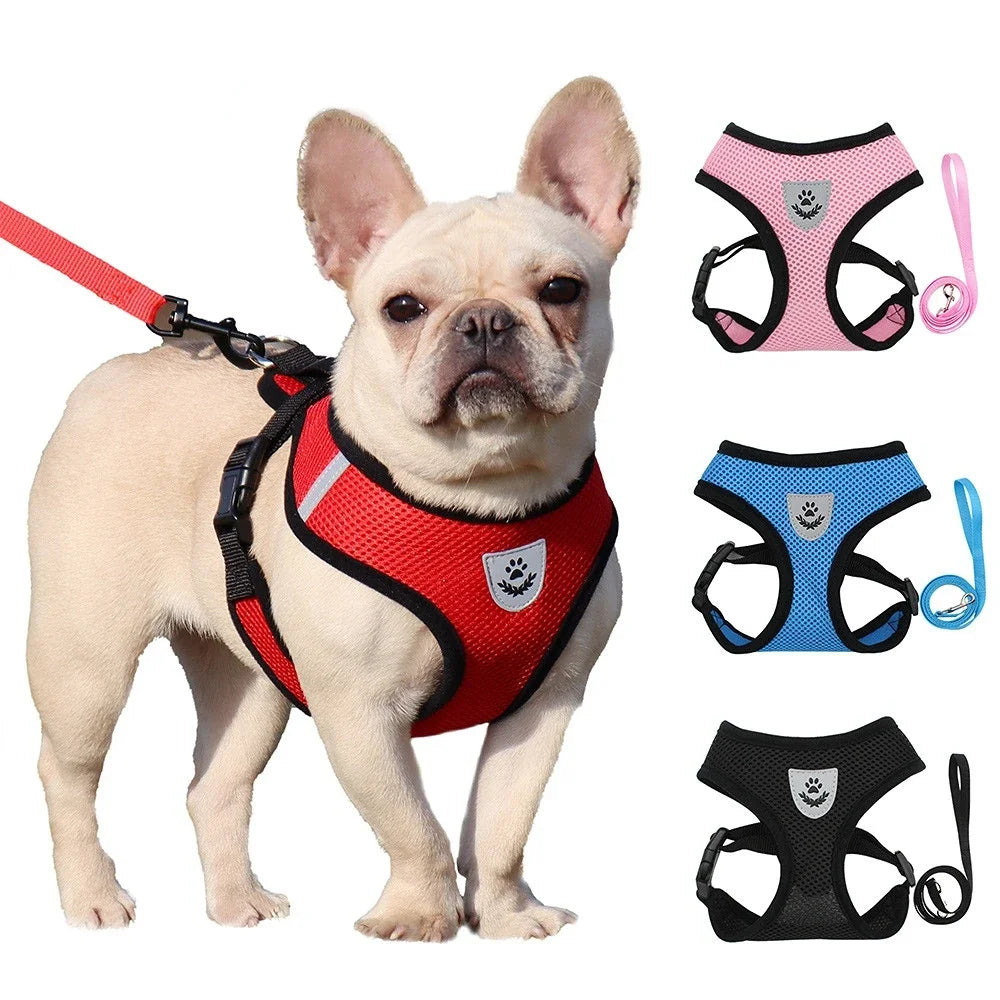 Summer Cat-Dog Harness